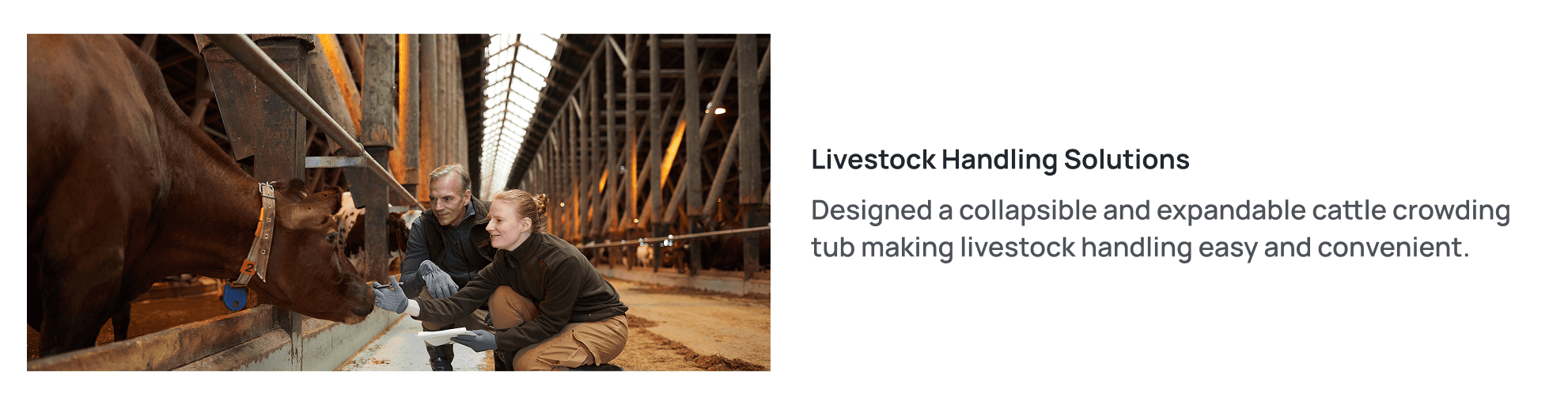 live stock handling